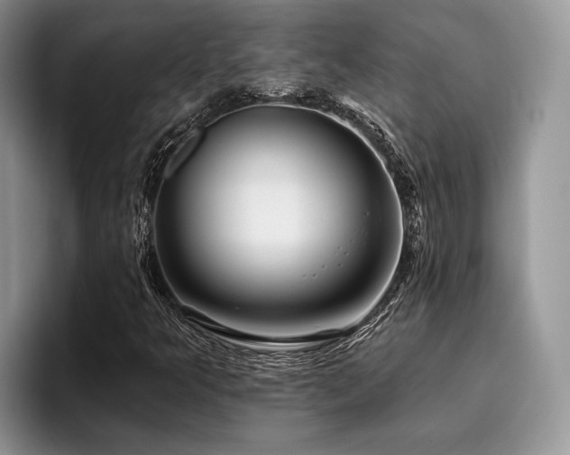 X0000096211349200801181422