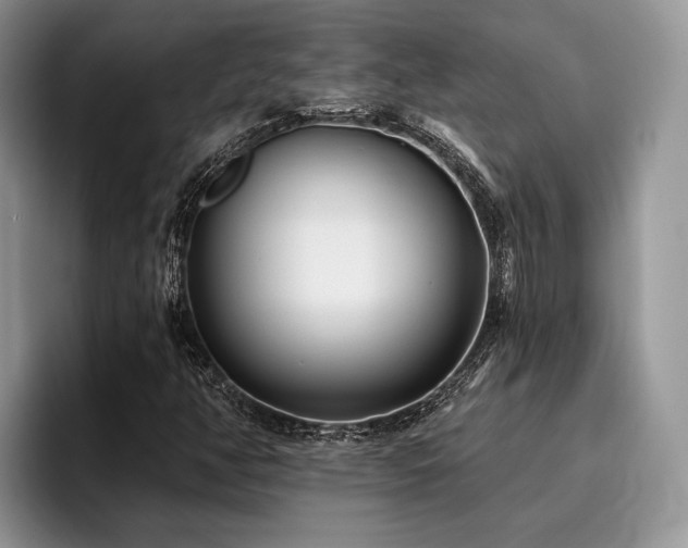 X0000096211350200801181422