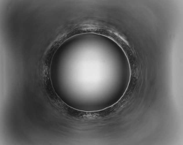 X0000096211351200801181422