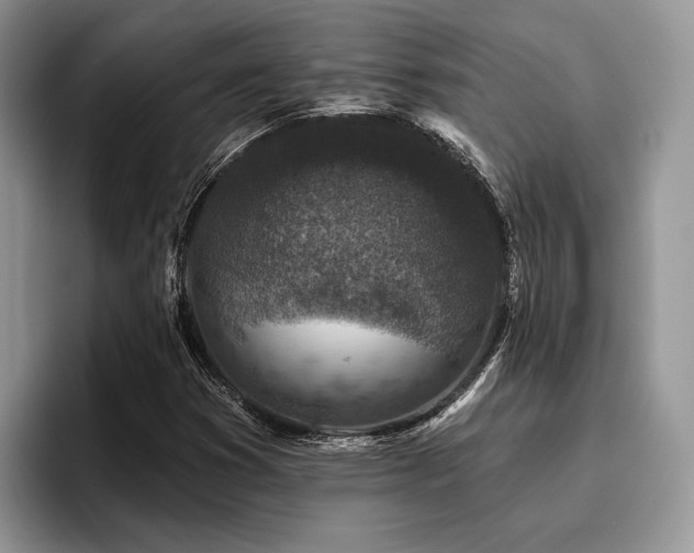 X0000096211353200801181422
