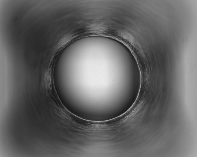 X0000096211354200801181422