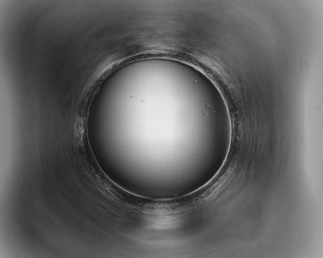 X0000096211355200801181422