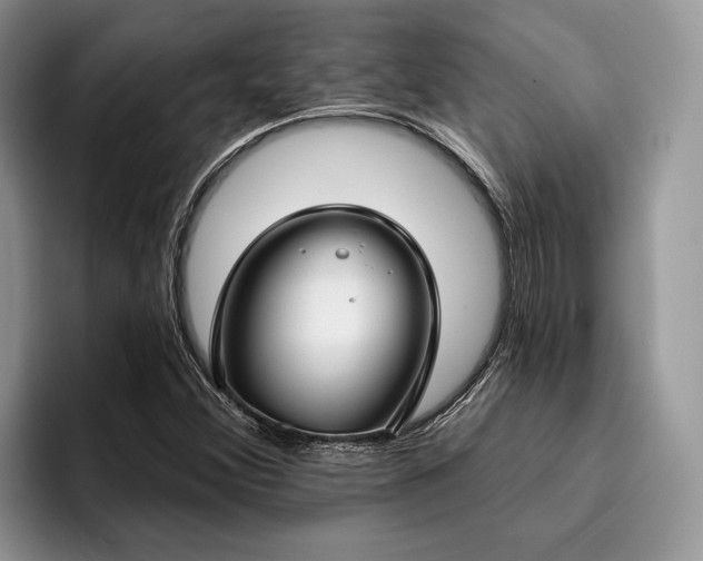 X0000096211356200801181422