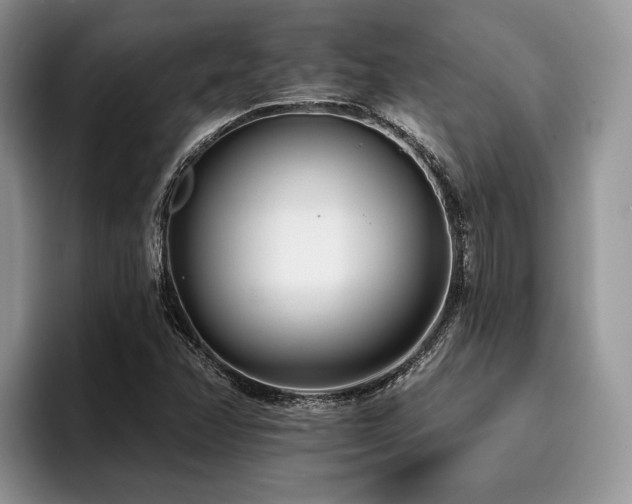 X0000096211358200801181422