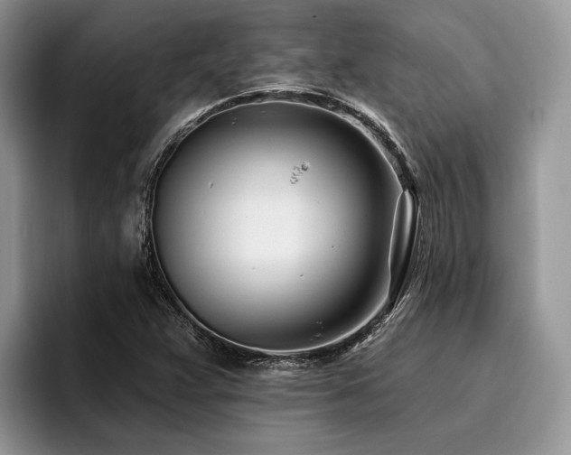 X0000096211359200801181422