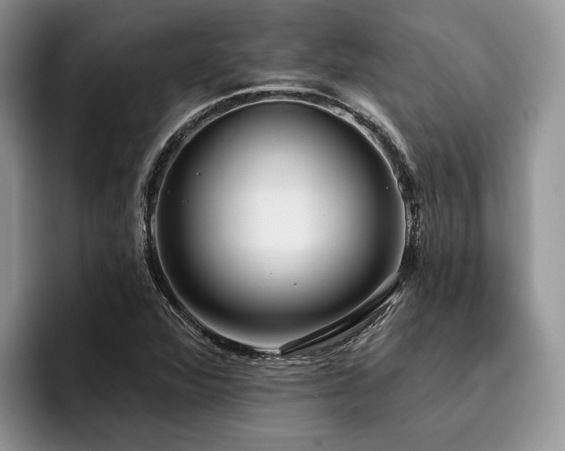 X0000096211360200801181422