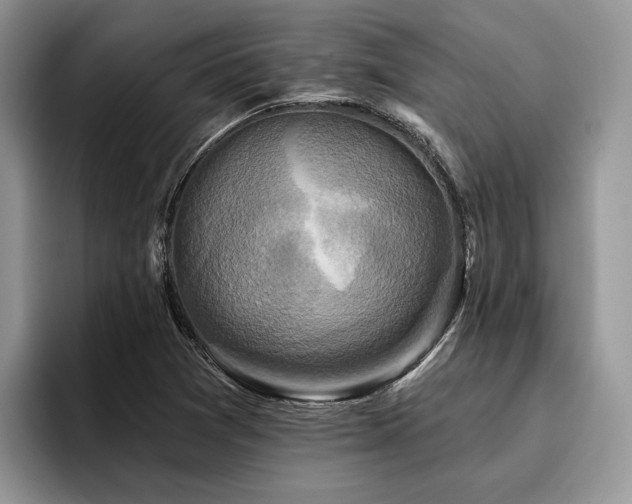 X0000096211361200801181422
