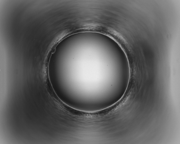 X0000096211362200801181422