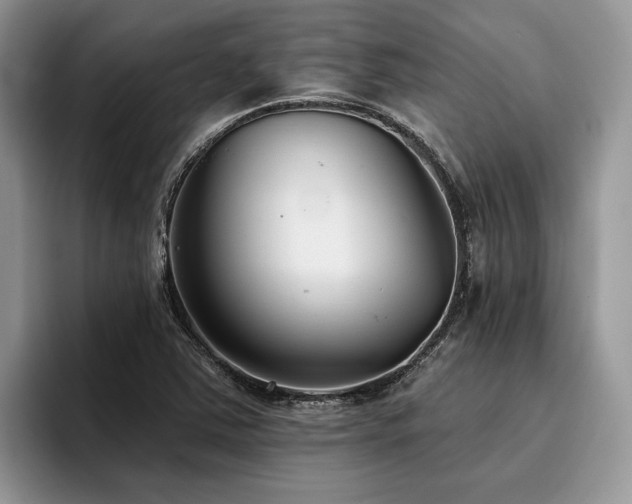 X0000096211363200801181422