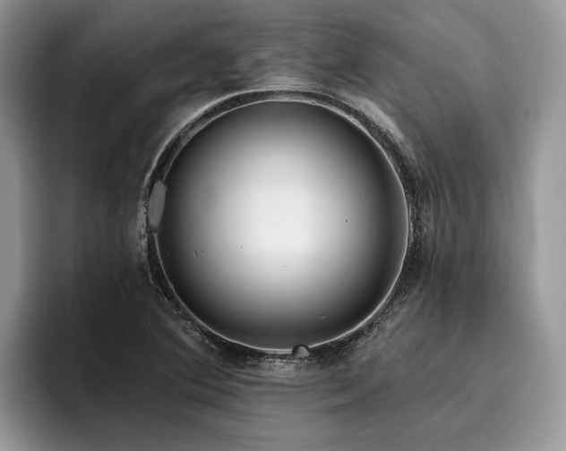X0000096211364200801181422