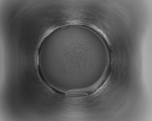 X0000096211365200801181422