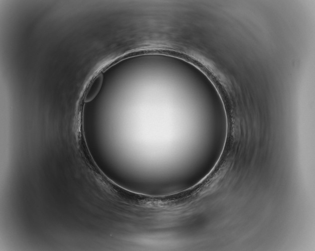 X0000096211366200801181422