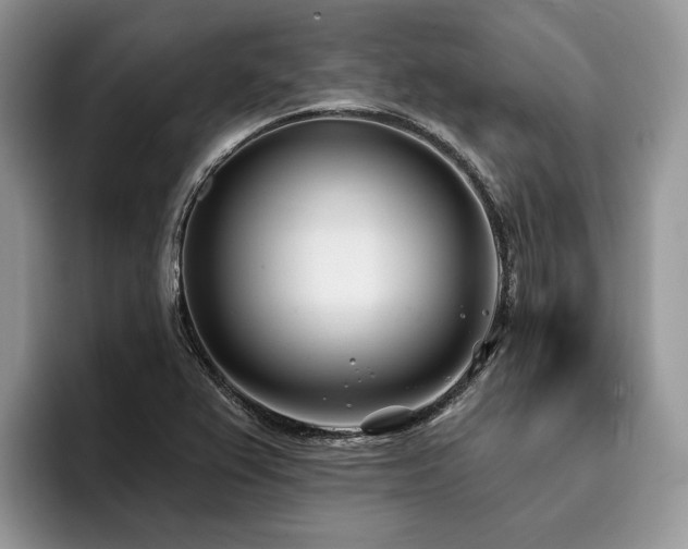 X0000096211367200801181422