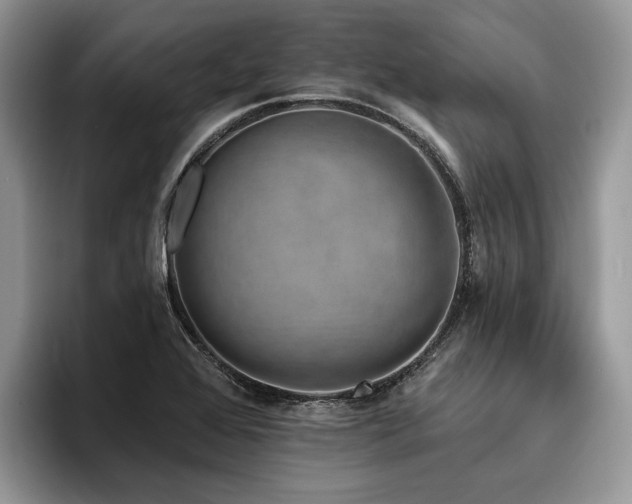 X0000096211368200801181422