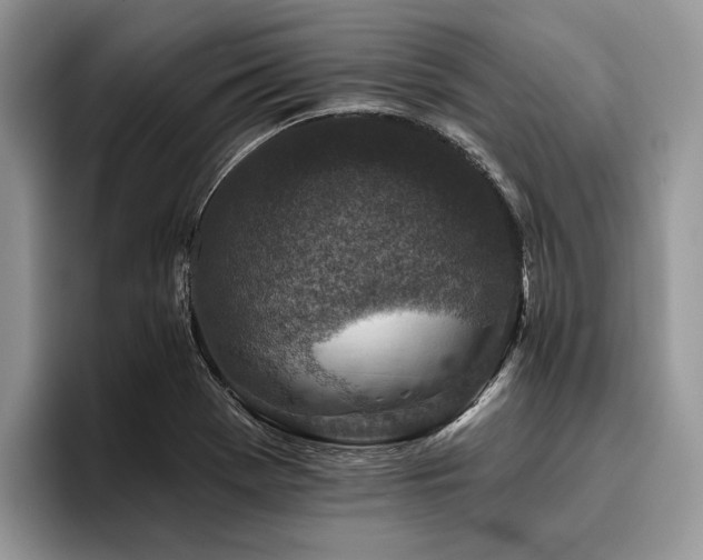 X0000096211369200801181422