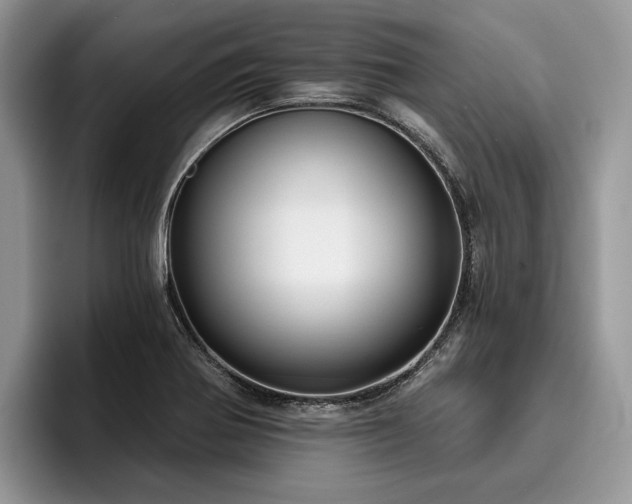 X0000096211370200801181422