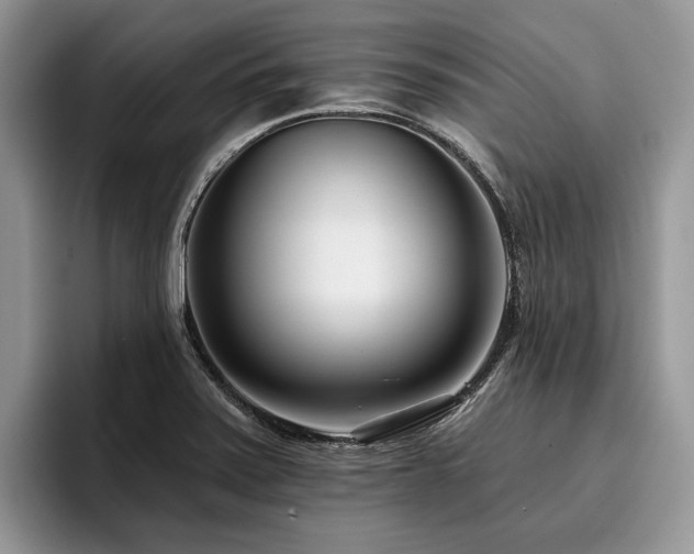 X0000096211371200801181422