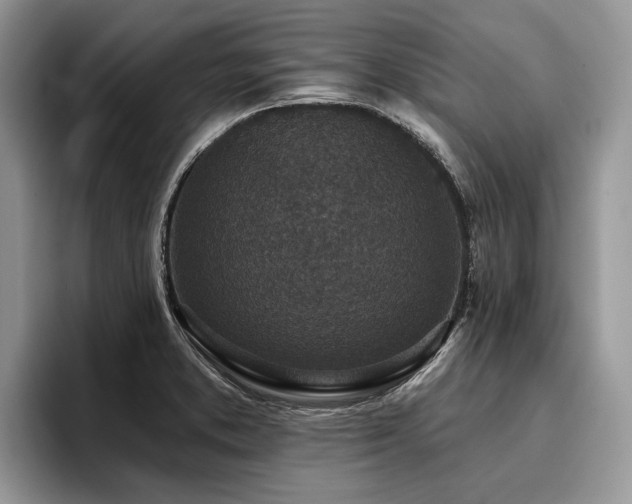 X0000096211373200801181422