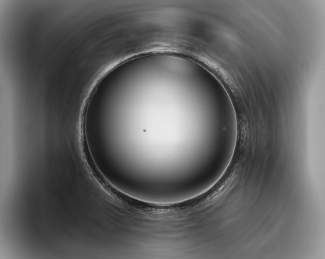 X0000096211375200801181422
