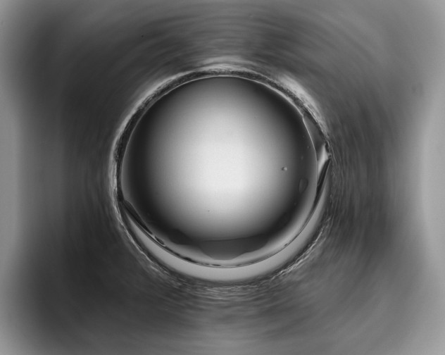 X0000096211376200801181422