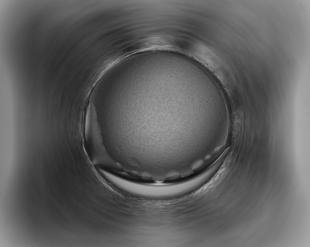 X0000096211377200801181422