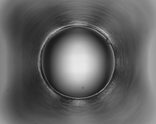X0000096211379200801181422