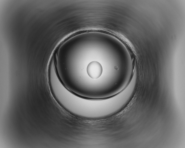 X0000096211380200801181422