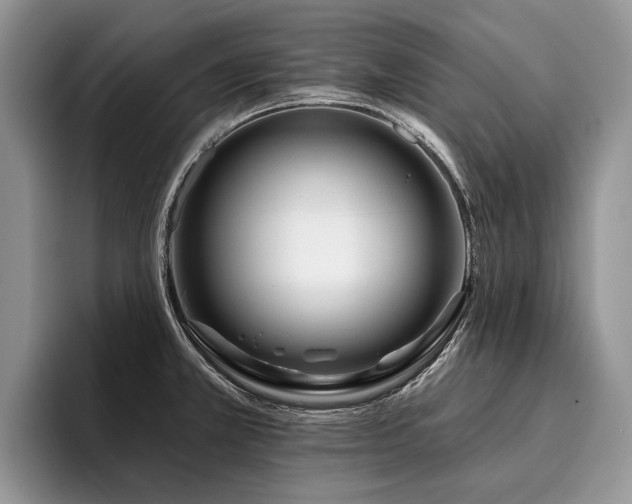 X0000096211381200801181422