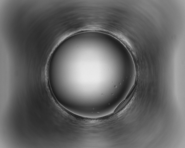 X0000096211382200801181422