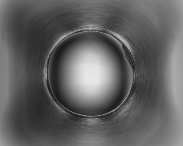 X0000096211383200801181421