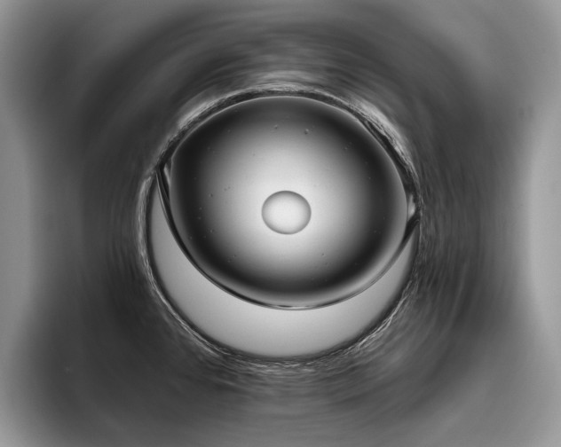 X0000096211384200801181421