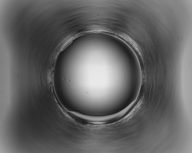 X0000096211385200801181421