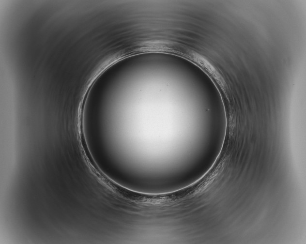 X0000096211386200801181421