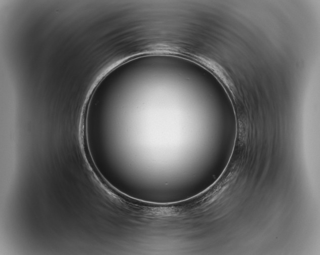 X0000096211387200801181421