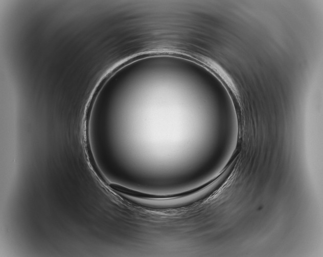 X0000096211388200801181421