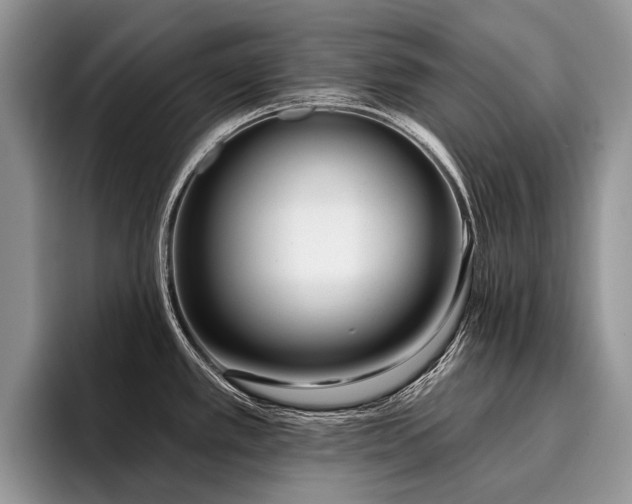 X0000096211389200801181421