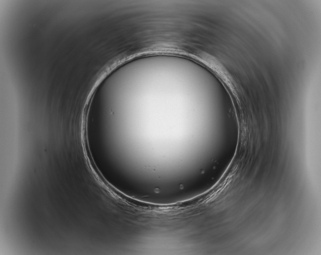 X0000096211390200801181421