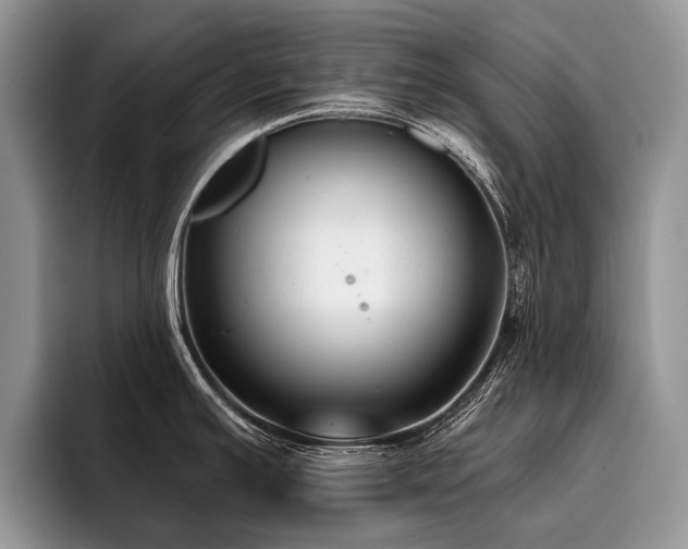 X0000096211391200801181421