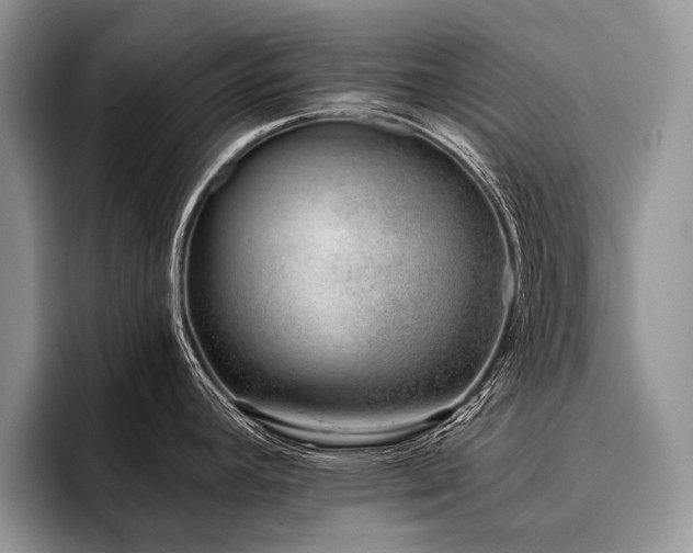 X0000096211392200801181421
