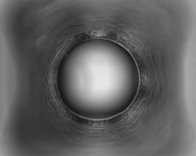 X0000096211393200801181421