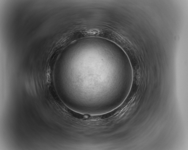 X0000096211394200801181421
