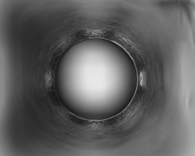 X0000096211395200801181421