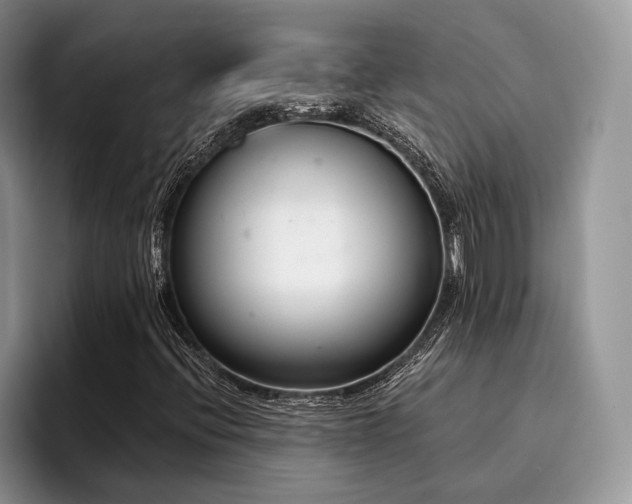X0000096211396200801181421