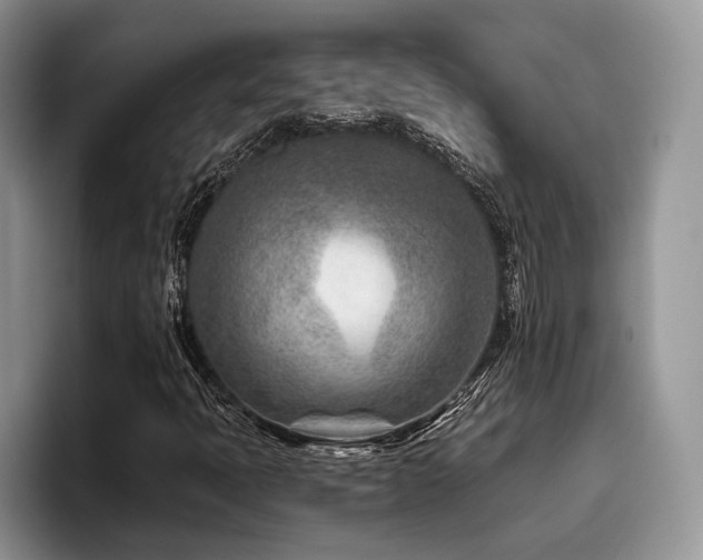 X0000096211397200801181421