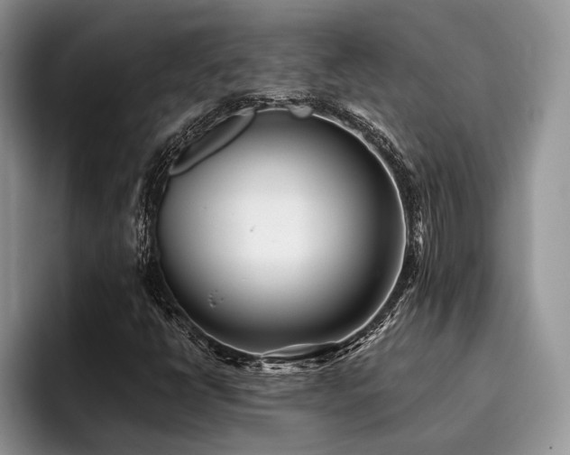 X0000096211398200801181421