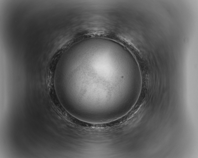 X0000096211399200801181421