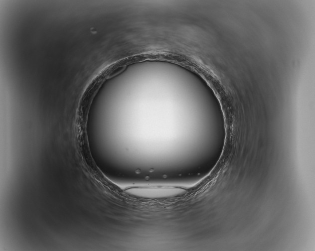 X0000096211400200801181421