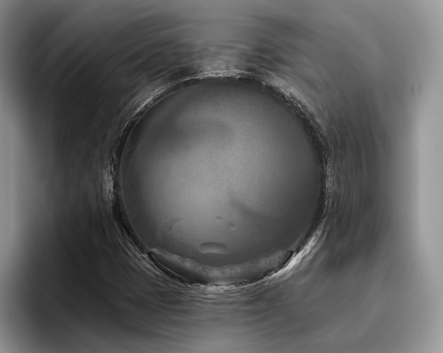 X0000096211401200801181421