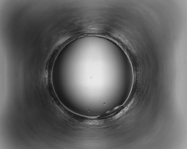 X0000096211402200801181421
