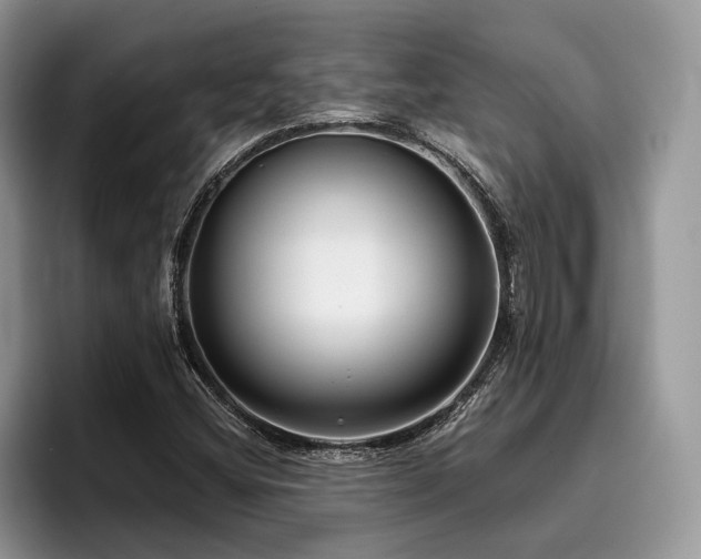 X0000096211404200801181421